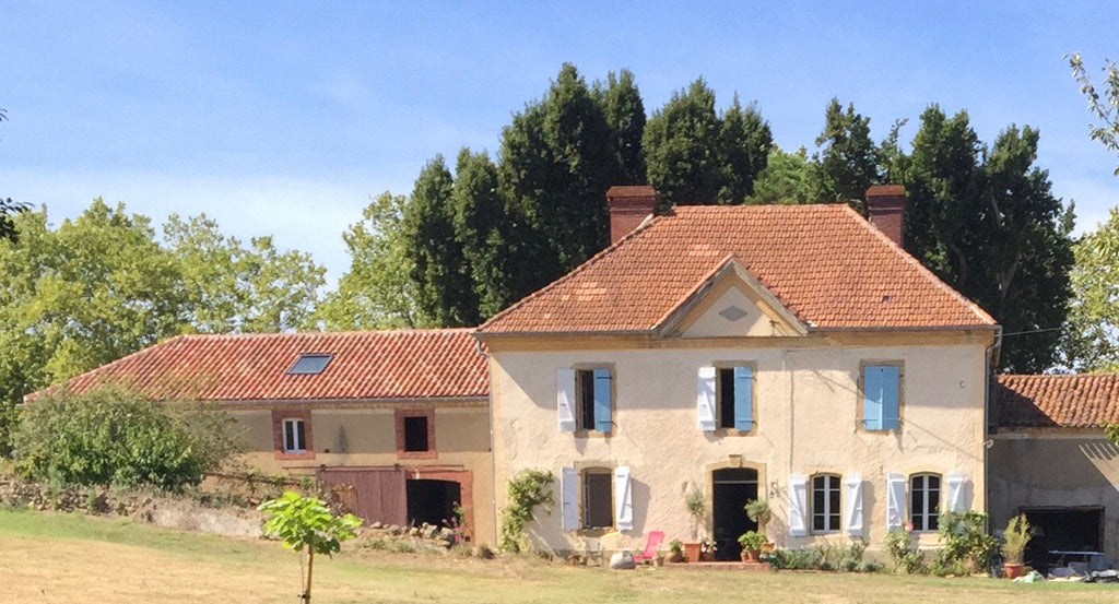 Painting Holiday in South West France: June 24-30th