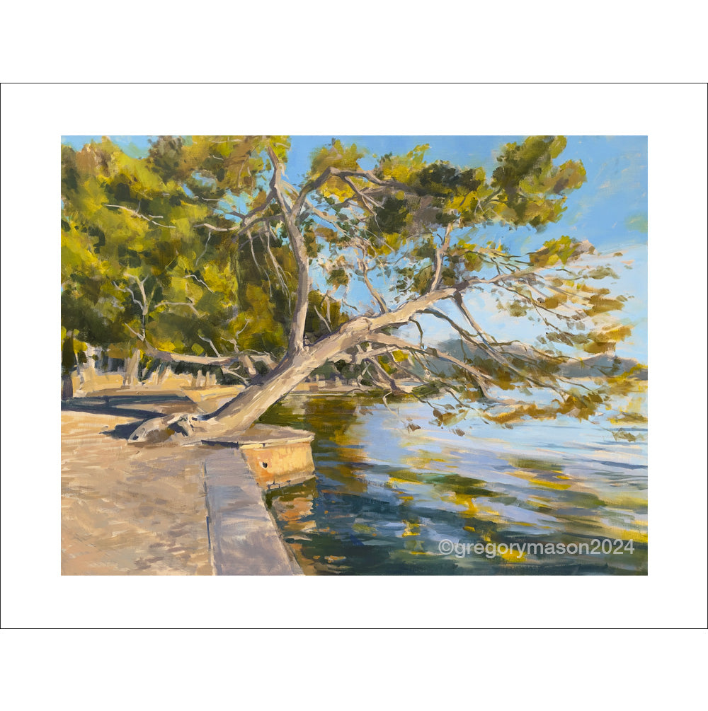 A signed, editioned print of an original oil painting by Greg Mason of the iconic Pinewalk in Puerto Pollenca.
