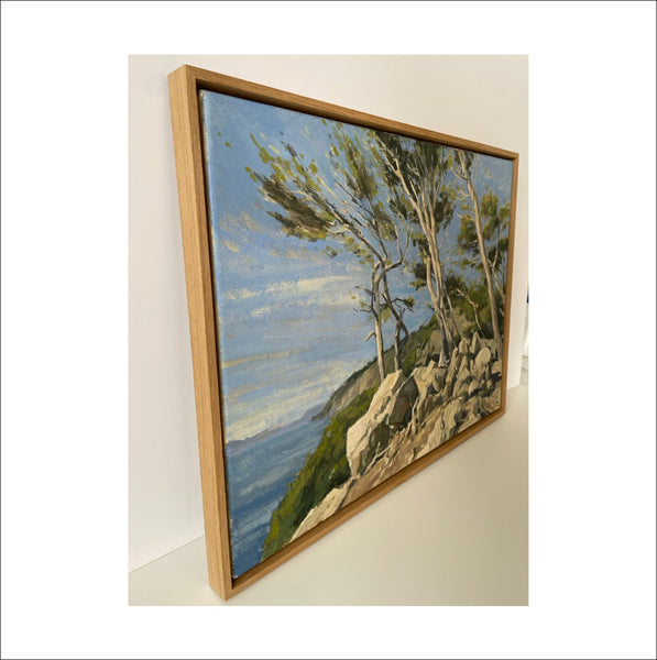 Pines of Mallorca